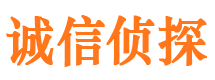 宁乡市出轨取证